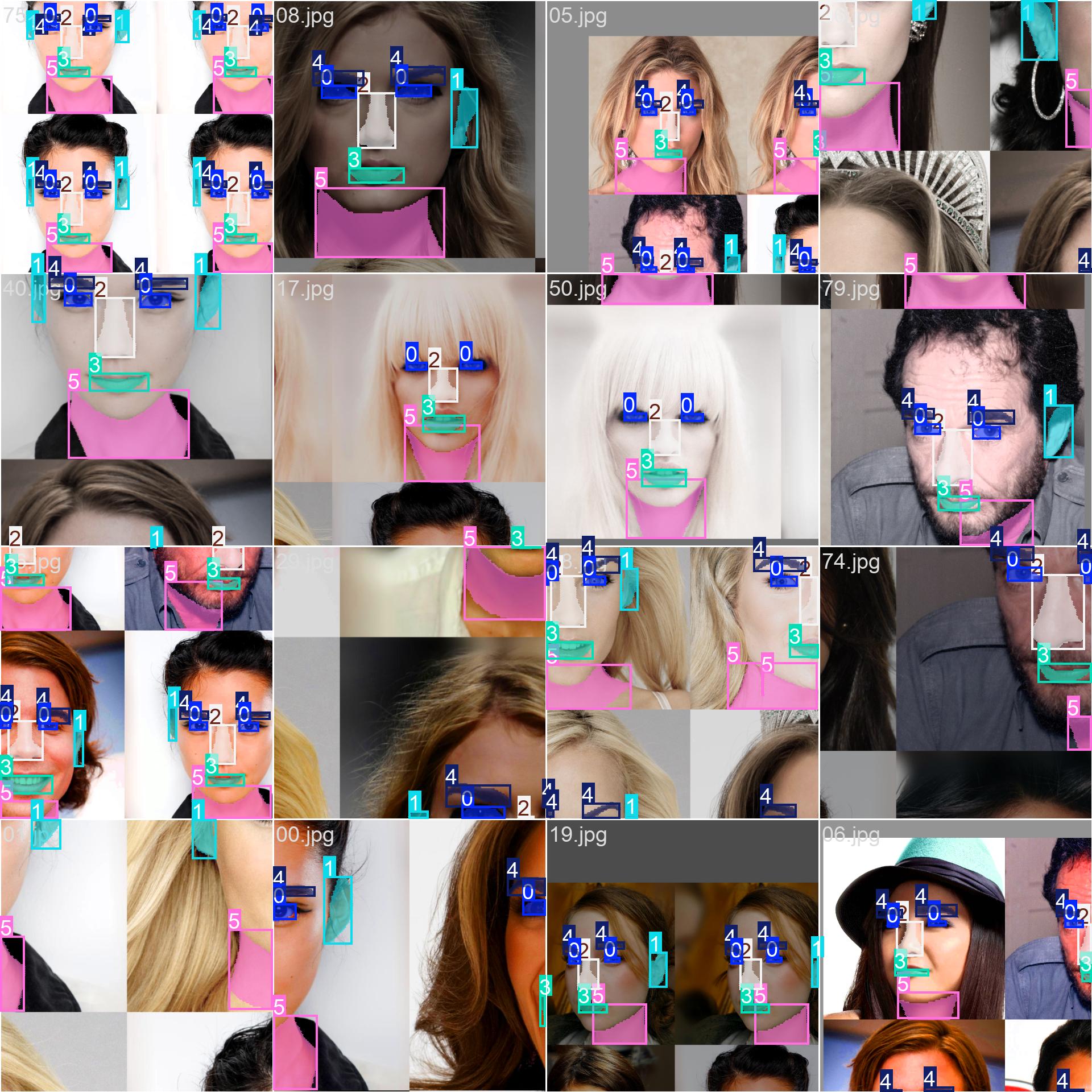 Face Segmentation